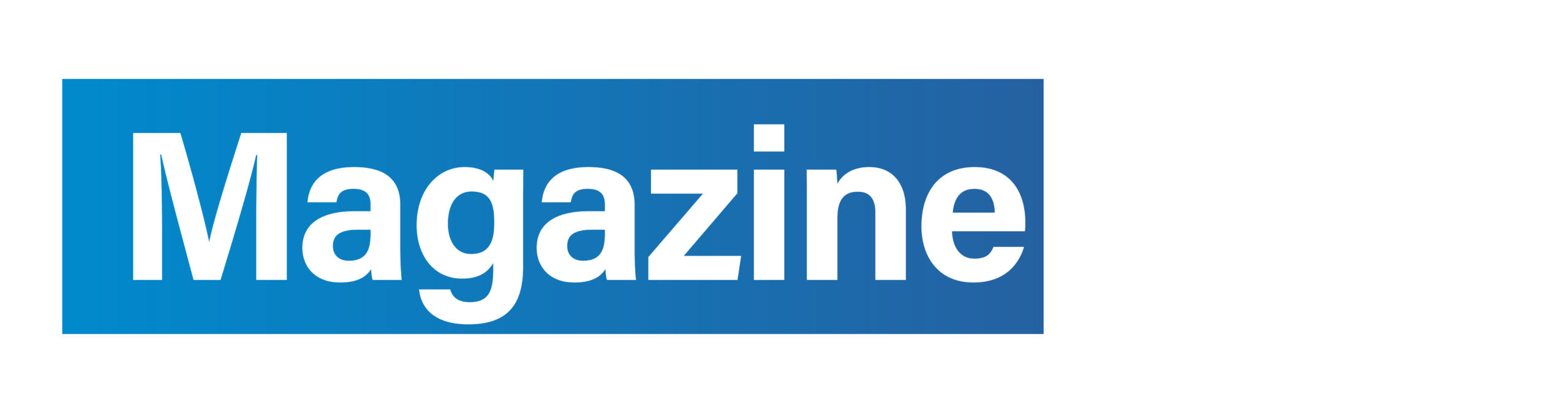 Magazine Blick