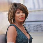 tina turner vermögen